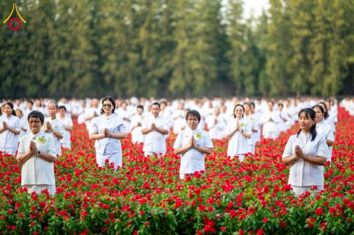 ภาพ No.185445:กิจกรรมเก็บดอกแพงรวย วันอาทิตย์ที่ 22 ธันวาคม พ.ศ. 2567 ณ ทุ่งสวรรค์ ตะวันฉาย วัดพระธรรมกาย