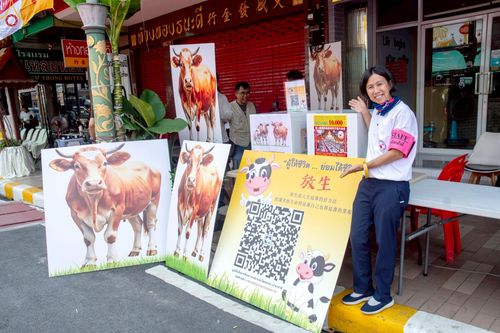 ภาพ No.238148:วันเสาร์ที่ 9 สิงหาคม พ.ศ. 2568 พิธีไถ่ชีวิตโค-โคท้อง 162 ตัว ณ ใจกลางนครหาดใหญ่ จ.สงขลา