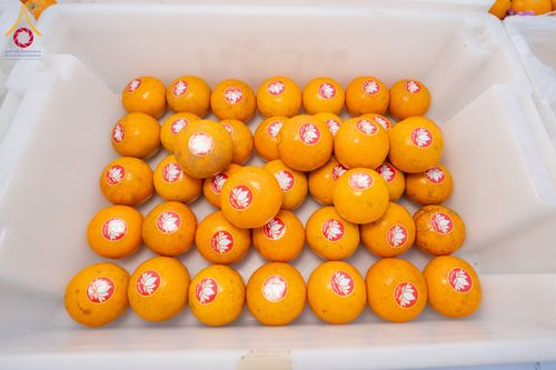 ภาพ No.293566:วันที่ 13 มกราคม พ.ศ. 2569 พิธีถวายภัตตาหารเป็นสังฆทาน แด่พระธรรมยาตรา ณ อนุสรณ์สถานมหาวิหารพระมงคลเทพมุนี (โลตัสแลนด์) อ.สองพี่น้อง จ.สุพรรณบุรี ในโครงการธรรมยาตรา กตัญญูบูชา มหาปูชนียาจารย์ พระมงคลเทพมุนี(สด จนฺทสโร) พระผู้ปราบมาร อนุสรณ์สถาน 7 แห่ง ปี