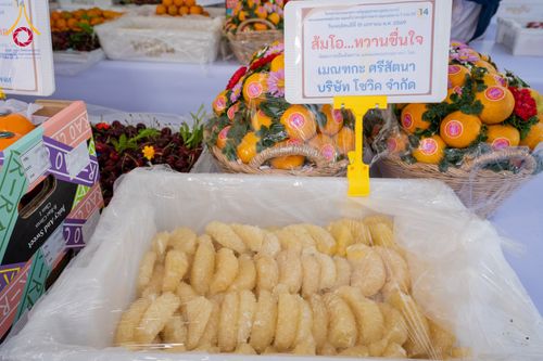 ภาพ No.294889:วันที่ 15 มกราคม พ.ศ. 2569 พิธีถวายภัตตาหารเป็นสังฆทาน แด่พระธรรมยาตรา ณ วัดโบสถ์บน ต.บางคูเวียง จ.นนทบุรี อนุสรณ์สถานลำดับที่ 4 สถานที่เกิดด้วยกายธรรม ในโครงการธรรมยาตรา กตัญญูบูชา มหาปูชนียาจารย์ พระมงคลเทพมุนี(สด จนฺทสโร) พระผู้ปราบมาร อนุสรณ์สถาน 7 แ