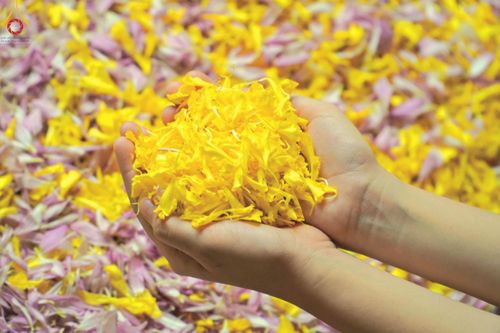 ภาพ No.110530:พิธีต้อนรับพระธรรมยาตรา ในโครงการธรรมยาตรากตัญญูบูชา มหาปูชนียาจารย์ พระมงคลเทพมุนี(สด จนฺทสโร) พระผู้ปราบมาร อนุสรณ์สถาน 7 แห่ง ปีที่ 12 วันที่ 11 มกราคม พ.ศ. 2567 ณ อนุสรณ์สถานลำดับที่ 3 สถานที่เกิดใหม่ในเพศสมณะ วัดสองพี่น้อง จ.สุพรรณบุรี