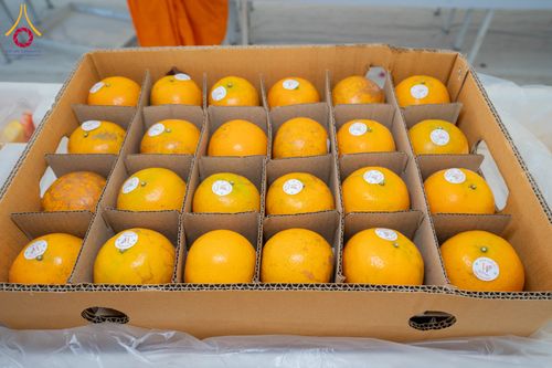 ภาพ No.297957:วันที่ 19 มกราคม พ.ศ. 2569 พิธีถวายภัตตาหารเป็นสังฆทาน แด่พระธรรมยาตรา ณ อนุสรณ์สถานบางปลา วัดบางปลา อำเภอบางเลน จังหวัดนครปฐม ในโครงการธรรมยาตรา กตัญญูบูชา มหาปูชนียาจารย์ พระมงคลเทพมุนี(สด จนฺทสโร) พระผู้ปราบมาร อนุสรณ์สถาน 7 แห่ง ปีที่ 14