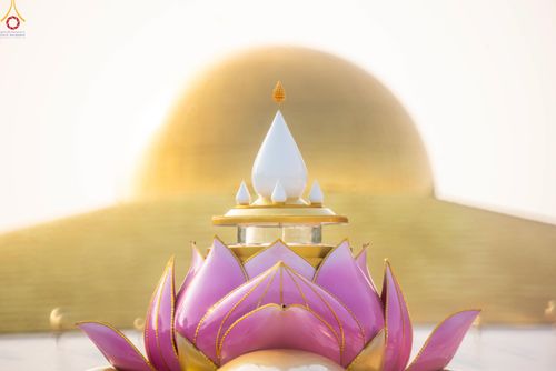 ภาพ No.281562:วันที่ 24 ธันวาคม พ.ศ.2568 พระธรรมยาตรา ปฏิบัติธรรม และถ่ายภาพหมู่ประวัติศาสตร์ ณ ลานหน้ามหาวิหารพระมงคลเทพมุนีฯ วัดพระธรรมกาย