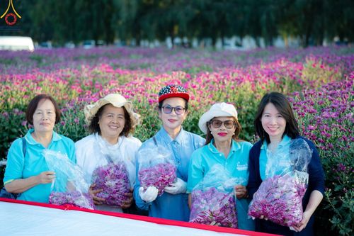 ภาพ No.186269:จิตอาสาอนุรักษ์สิ่งแวดล้อม รับบุญเก็บดอกเบญจทรัพย์ เพื่องานต้อนรับพระธรรมยาตรา ณ "ทุ่งสวรรค์ ตะวันฉาย" วัดพระธรรมกาบ วันที่ 22 ธันวาคม พ.ศ. 2567