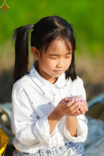 ภาพ No.116597:พิธีต้อนรับพระธรรมยาตรา ปีที่ 12 ณ อนุสรณ์สถานบางปลา จ.นครปฐม วันที่ 21 มกราคม พ.ศ. 2567