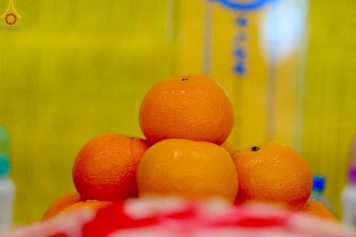 ภาพ No.148561:พิธีบุพเปตพลี, พิธีทอดผ้าป่า, พิธีไถ่ชีวิตโค 80 ตัว ให้ชีวิตสัตว์เป็นทาน ณ ศูนย์ปฎิบัติธรรมภาคใต้ อ.บางกล่ำ จ.สงขลา วันเสาร์ที่ 10 สิงหาคม พ.ศ. 2567