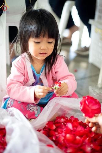 ภาพ No.187251:สาธุชน เจ้าหน้าที่ ร่วมบุญปลิดกลีบดอกไม้ เพื่อโปรยต้อนรับพระธรรมยาตรา ตั้งแต่วันที่ 26 ธันวาคม พ.ศ. 2567 ณ วิหารคด 31 วัดพระธรรมกาย