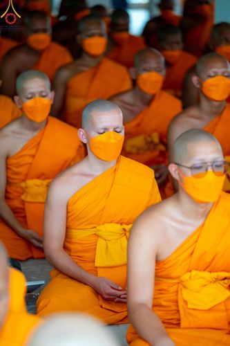 ภาพ No.118966:คณะพุทธบุตรธรรมยาตราร่วมปฏิบัติธรรม และถ่ายภาพหมู่ประวัติศาสตร์ ในโครงการธรรมยาตราฯ ปีที่ 12  วันที่ 25 มกราคม พ.ศ. 2567  ณ อาคารธรรมยาตรา กตัญญูบูชามหาปูชนียาจารย์  ตรงข้ามวัดปากน้ำภาษีเจริญ จ.กรุงเทพมหานคร