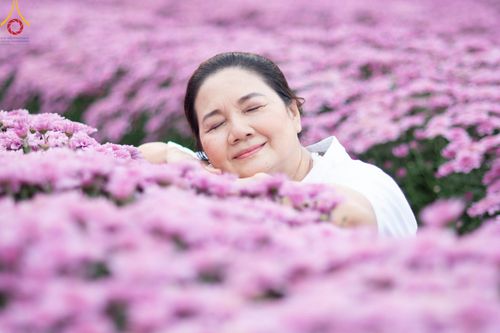 ภาพ No.102896:สาธุชนร่วมรับบุญเก็บดอกเบญจทรัพย์ ในวันที่ 19 ธันวาคม พ.ศ. 2566 (วันแรก) ณ บริเวณวัดพระธรรมกาย จ.ปทุมธานี