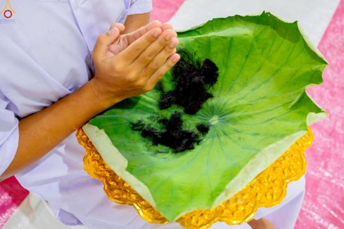 ภาพ No.228492:วันเสาร์ที่ 7 มิถุนายน พ.ศ. 2568 พิธีปลงผมโครงการอุปสมบทหมู่ธรรมทายาท ระดับอุดมศึกษา รุ่นที่ 52 ภาคฤดูฝน ณ วิหารคด 9 วัดพระธรรมกาย