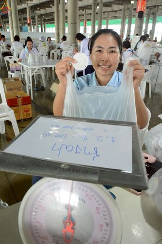 ภาพ No.246669:วันที่ 12 กันยายน พ.ศ. 2568 การเก็บงาน จัดเก็บไฟ LED ของเจ้าหน้าที่ทุกสถานะ ณ วิหารคด วัดพระธรรมกาย