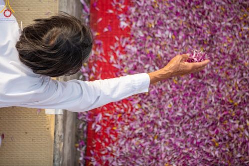 ภาพ No.119992:พิธีต้อนรับพระธรรมยาตรา ในโครงการธรรมยาตรา กตัญญูบูชา มหาปูชนียาจารย์ พระมงคลเทพมุนี(สด จนฺทสโร) พระผู้ปราบมาร อนุสรณ์สถาน 7 แห่ง ปีที่ 12 วันที่ 28 มกราคม พ.ศ. 2567 ณ วัดพระธรรมกาย จ.ปทุมธานี