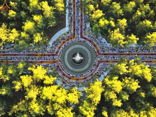 ภาพ No.105737:พิธีต้อนรับพระธรรมยาตรา ในโครงการธรรมยาตรากตัญญูบูชา มหาปูชนียาจารย์ พระมงคลเทพมุนี(สด จนฺทสโร) พระผู้ปราบมาร อนุสรณ์สถาน 7 แห่ง ปีที่ 12 วันที่ 3 มกราคม พ.ศ. 2567 ณ อนุสรณ์สถานโลตัสแลนด์ จ.สุพรรณบุรี