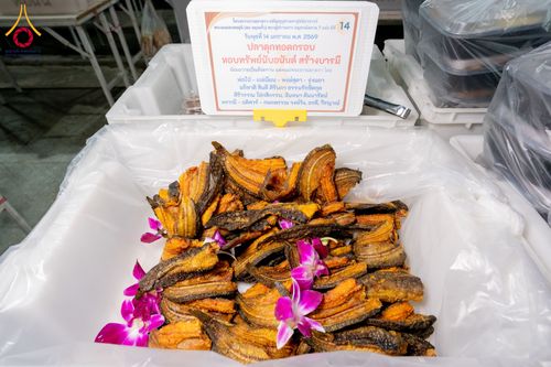 ภาพ No.293784:วันที่ 14 มกราคม พ.ศ. 2569  พิธีถวายภัตตาหารเป็นสังฆทาน แด่พระธรรมยาตรา  ณ วัดสองพี่น้อง ต.ต้นตาล อ.สองพี่น้อง จ.สุพรรณบุรี  ในโครงการธรรมยาตรา กตัญญูบูชา มหาปูชนียาจารย์  พระมงคลเทพมุนี(สด จนฺทสโร) พระผู้ปราบมาร  อนุสรณ์สถาน 7 แห่ง ปีที่ 14