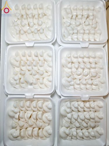 ภาพ No.203804:พิธีถวายภัตตาหารเป็นสังฆทาน แด่พระธรรมยาตรา ณ วัดพระธรรมกาย ตำบลคลองสาม อำเภอคลองหลวง จังหวัดปทุมธานี ในโครงการธรรมยาตรา กตัญญูบูชา มหาปูชนียาจารย์ พระมงคลเทพมุนี(สด จนฺทสโร) พระผู้ปราบมาร อนุสรณ์สถาน 7 แห่ง ปีที่ 13 วันที่ 30 มกราคม พ.ศ. 2568