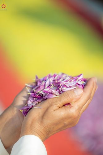 ภาพ No.299499:วันที่ 18 มกราคม พ.ศ. 2569 พิธีต้อนรับพระธรรมยาตรา ณ อนุสรณ์สถานลำดับที่ 5 สถานที่เผยแผ่วิชชาธรรมกายครั้งแรก อนุสรณ์สถานบางปลา วัดบางปลา อำเภอบางเลน จังหวัดนครปฐม ในโครงการธรรมยาตรา กตัญญูบูชา มหาปูชนียาจารย์ พระมงคลเทพมุนี(สด จนฺทสโร) พระผู้ปราบมาร อนุส