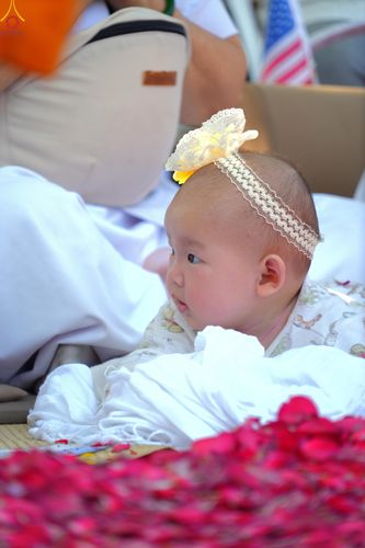 ภาพ No.304143:วันที่ 25 มกราคม พ.ศ. 2569 พิธีต้อนรับพระธรรมยาตรา  รร.สามัคคีราษฏร์บำรุง-วัดพระธรรมกาย ในโครงการธรรมยาตรา กตัญญูบูชา มหาปูชนียาจารย์ พระมงคลเทพมุนี(สด จนฺทสโร) พระผู้ปราบมาร อนุสรณ์สถาน 7 แห่ง ปีที่ 14