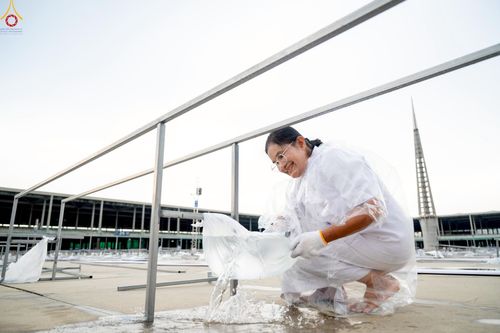 ภาพ No.225260:วันที่ 20 - 27 เมษายน พ.ศ. 2568 "ภาพแห่งความปลื้มที่ไม่มีวันจบ" คณะสงฆ์สามเณร เจ้าหน้าที่ และสาธุชน ร่วมแรงร่วมใจกันเตรียมงานและเก็บงาน เพื่อวันคุ้มครองโลก พิธีถวายมหาสังฆทานคณะสงฆ์ 40,000 กว่าวัดทั่วประเทศ