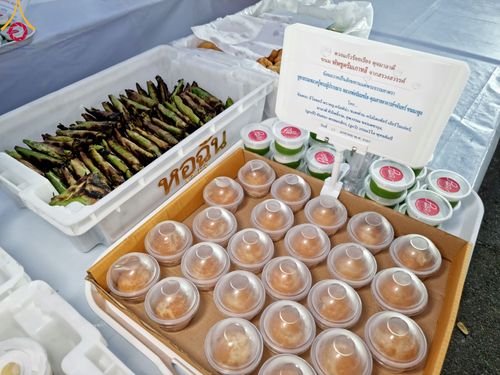 ภาพ No.111027:พิธีถวายภัตตาหารเป็นสังฆทาน แด่คณะพระธรรมยาตราฯ ในโครงการธรรมยาตรา กตัญญูบูชา มหาปูชนียาจารย์ พระมงคลเทพมุนี(สด จนฺทสโร) พระผู้ปราบมาร อนุสรณ์สถาน 7 แห่ง ปีที่ 12 วันที่ 13 มกราคม พ.ศ. 2567 ณ อนุสรณ์สถานมหาวิหารพระมงคลเทพมุนี  (โลตัสแลนด์) อ.สองพี่น้อง จ