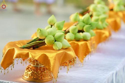 ภาพ No.141355:พิธีบรรพชาอุปสมบท โครงการอุปสมบทหมู่รุ่นผู้บริหาร รุ่นที่ 14 โครงการอุปสมบทหมู่ธรรมทายาท ระดับอุดมศึกษา รุ่นที่ 51 ภาคฤดูฝน ณ โบสถ์พระไตรปิฎก วัดพระธรรมกาย ในวันเสาร์ที่ 15 มิถุนายน พ.ศ. 2567