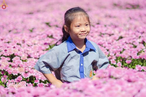 ภาพ No.104282:โครงการตอบปัญหาธรรมะทางก้าวหน้า ครั้งที่ 41 รอบชิงชนะเลิศระดับชาติ วันเสาร์ที่ 23 ธันวาคม พ.ศ. 2566 ณ ห้องแก้วสารพัดนึก วัดพระธรรมกาย จัดโดย ชมรมพุทธศาสตร์สากล