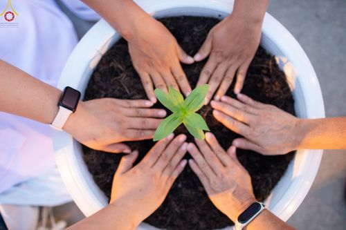 ภาพ No.90209:พิธีปลูกทรัพย์บานชื่น  เนื่องใน 139 ปี วันคล้ายวันเกิดด้วยรูปกายเนื้อ พระมงคลเทพมุนี (สด จนฺทสโร) พระผู้ปราบมาร วันอังคารที่ 10 ตุลาคม พ.ศ. 2566 ณ วัดพระธรรมกาย จ.ปทุมธานี