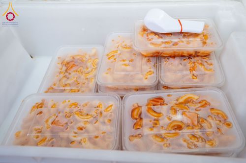 ภาพ No.295907:วันที่ 17 มกราคม พ.ศ. 2569 พิธีถวายภัตตาหารเป็นสังฆทาน แด่พระธรรมยาตรา ณ วัดโบสถ์บน ต.บางคูเวียง จ.นนทบุรี อนุสรณ์สถานลำดับที่ 4 สถานที่เกิดด้วยกายธรรม ในโครงการธรรมยาตรา กตัญญูบูชา มหาปูชนียาจารย์ พระมงคลเทพมุนี(สด จนฺทสโร) พระผู้ปราบมาร อนุสรณ์สถาน 7 แ