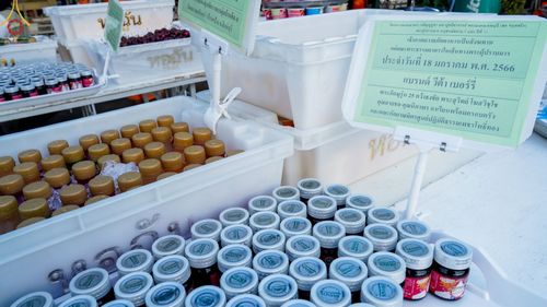 ภาพ No.72157:พิธีถวายภัตตาหารเป็นสังฆทาน แด่คณะพระธรรมยาตราฯ ในโครงการธรรมยาตรากตัญญูบูชา มหาปูชนียาจารย์ พระมงคลเทพมุนี(สด จนฺทสโร) พระผู้ปราบมาร อนุสรณ์สถาน 7 แห่ง ปีที่ 11 วันที่ 18 มกราคม พ.ศ. 2566