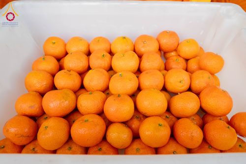 ภาพ No.295918:วันที่ 17 มกราคม พ.ศ. 2569 พิธีถวายภัตตาหารเป็นสังฆทาน แด่พระธรรมยาตรา ณ วัดโบสถ์บน ต.บางคูเวียง จ.นนทบุรี อนุสรณ์สถานลำดับที่ 4 สถานที่เกิดด้วยกายธรรม ในโครงการธรรมยาตรา กตัญญูบูชา มหาปูชนียาจารย์ พระมงคลเทพมุนี(สด จนฺทสโร) พระผู้ปราบมาร อนุสรณ์สถาน 7 แ