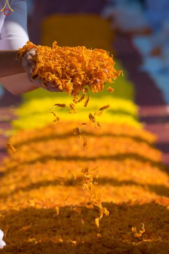 ภาพ No.72252:พิธีต้อนรับพระธรรมยาตรา ในโครงการธรรมยาตรากตัญญูบูชา มหาปูชนียาจารย์ พระมงคลเทพมุนี(สด จนฺทสโร) พระผู้ปราบมาร อนุสรณ์สถาน 7 แห่ง ปีที่ 11 วันที่ 18 มกราคม พ.ศ. 2566 ณ อนุสรณ์สถานลำดับที่ 4 สถานที่เกิดด้วยกายธรรม วัดโบสถ์ (บน) บางคูเวียง อ.บางกรวย จ.นนทบุ