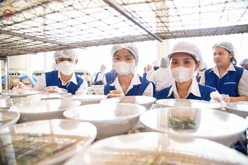 ภาพ No.58871:V.40 ภัตตาหารพระหมื่นวัด เราจัดให้ การปฏิบัติงานของเจ้าหน้าที่และอาสาสมัคร เพื่อรับบุญในการถวายภัตตาหาร แด่คณะสงฆ์ 10,000 กว่าวัดทั่วประเทศ ที่มาร่วมงานวันคุ้มครองโลก จันทร์ที่ 22 เมษายน พ.ศ. 2567 ณ วัดพระธรรมกาย