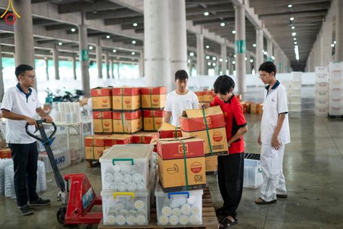 ภาพ No.60883:V.37 ยิ่งกว่าดี เพื่อ 80 ปีของพ่อ ภาพการเตรียมงานของหน่วยงานต่างๆ เพื่อพิธีฉลองอายุวัฒนมงคล 80 ปี หลวงพ่อธัมมชโย และรับถวายมหาสังฆทาน 10,000 กว่าวัดทั่วประเทศ ในวันคุ้มครองโลก วันจันทร์ที่ 22 เมษายน พ.ศ. 2567