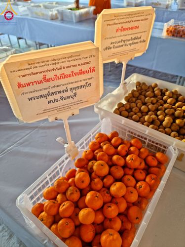 ภาพ No.108141:พิธีถวายภัตตาหารเป็นสังฆทาน แด่คณะพระธรรมยาตราฯ ในโครงการธรรมยาตรากตัญญูบูชา มหาปูชนียาจารย์ พระมงคลเทพมุนี(สด จนฺทสโร) พระผู้ปราบมาร อนุสรณ์สถาน 7 แห่ง ปีที่ 12 วันที่ 8 มกราคม พ.ศ. 2567 ณ อนุสรณ์สถานมหาวิหารพระมงคลเทพมุนี (โลตัสแลนด์) อ.สองพี่น้อง จ.สุ