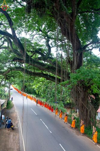 ภาพ No.140736:PhotoStory มหาศรัทธา ธรรมยาตราศรีลังกา EP.4 โครงการสยาม-ลังกา ธรรมยาตรา ฉลองเทศกาลวิสาขบูชาแห่งชาติ ศรีลังกา  บูชาธรรม 80 ปีหลวงพ่อธัมมชโย เส้นทางจาก เมืองดัมบูลลา ไปยัง เมืองมาตะเล  ตั้งแต่วันที่ 17-20 พฤษภาคม พ.ศ. 2567