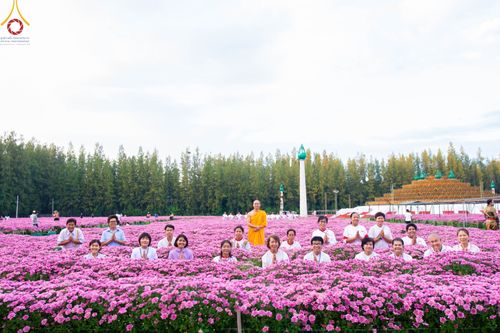 ภาพ No.102932:สาธุชนร่วมรับบุญเก็บดอกเบญจทรัพย์ ในวันที่ 19 ธันวาคม พ.ศ. 2566 (วันแรก) ณ บริเวณวัดพระธรรมกาย จ.ปทุมธานี