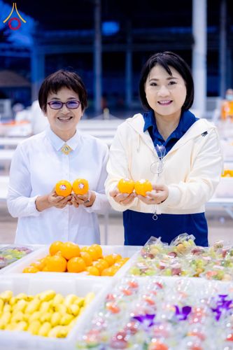 ภาพ No.202695:พิธีถวายภัตตาหารเป็นสังฆทาน แด่พระธรรมยาตรา ณ วัดพระธรรมกาย ตำบลคลองสาม อำเภอคลองหลวง จังหวัดปทุมธานี ในโครงการธรรมยาตรา กตัญญูบูชา มหาปูชนียาจารย์ พระมงคลเทพมุนี(สด จนฺทสโร) พระผู้ปราบมาร อนุสรณ์สถาน 7 แห่ง ปีที่ 13 วันที่ 28 มกราคม พ.ศ. 2568