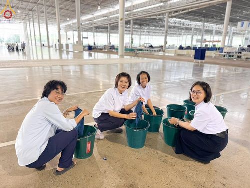 ภาพ No.186584:V.48 ผลงาน V-Peace ปลายปี 2567 ภาพโดย : ช่างภาพ V-Peace และ ช่างภาพศูนย์ภาพนิ่ง