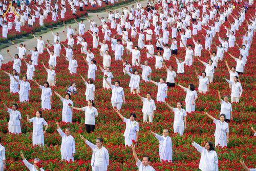 ภาพ No.185477:กิจกรรมเก็บดอกแพงรวย วันอาทิตย์ที่ 22 ธันวาคม พ.ศ. 2567 ณ ทุ่งสวรรค์ ตะวันฉาย วัดพระธรรมกาย