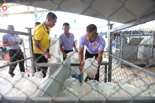 ภาพ No.127462:V.31 ทุ่มเทเพื่อบางกล่ำ การเตรียมงานของเจ้าหน้าที่หน่วยงานต่างๆ  เพื่องานธรรมยาตราอัญเชิญพระบรมสารีริกธาตุ ประดิษฐาน ณ มหารัตนเจดีย์สิริปทุมสวรรค์ (เจดีย์อริยพุทธะ 5 พระองค์) ณ ศูนย์ปฏิบัติธรรมภาคใต้ อ.บางกล่ำ จ.สงขลา ระหว่างวันที่ 9-10 มีนาคม พ.ศ. 2567