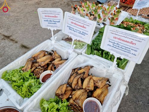 ภาพ No.112899:พิธีถวายภัตตาหารเป็นสังฆทาน แด่คณะพระธรรมยาตรา ปีที่ 12 วันที่ 15 มกราคม พ.ศ. 2567 ณ วัดสองพี่น้อง จ.สุพรรณบุรี