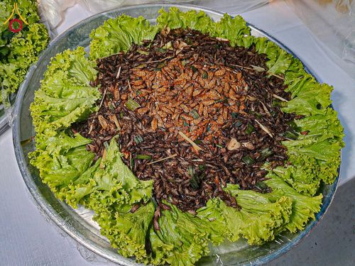 ภาพ No.198336:พิธีถวายภัตตาหารเป็นสังฆทาน แด่พระธรรมยาตรา ณ อนุสรณ์สถานบางปลา วัดบางปลา อำเภอบางเลน จังหวัดนครปฐม ในโครงการธรรมยาตรา กตัญญูบูชา มหาปูชนียาจารย์ พระมงคลเทพมุนี(สด จนฺทสโร) พระผู้ปราบมาร อนุสรณ์สถาน 7 แห่ง ปีที่ 13 วันที่ 20 มกราคม พ.ศ. 2568