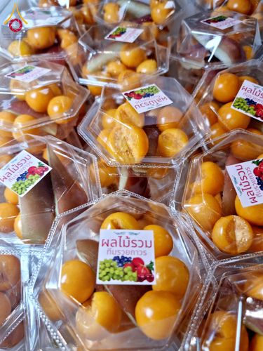 ภาพ No.203267:พิธีถวายภัตตาหารเป็นสังฆทาน แด่พระธรรมยาตรา ณ วัดพระธรรมกาย ตำบลคลองสาม อำเภอคลองหลวง จังหวัดปทุมธานี ในโครงการธรรมยาตรา กตัญญูบูชา มหาปูชนียาจารย์ พระมงคลเทพมุนี(สด จนฺทสโร) พระผู้ปราบมาร อนุสรณ์สถาน 7 แห่ง ปีที่ 13 วันที่ 29 มกราคม พ.ศ. 2568