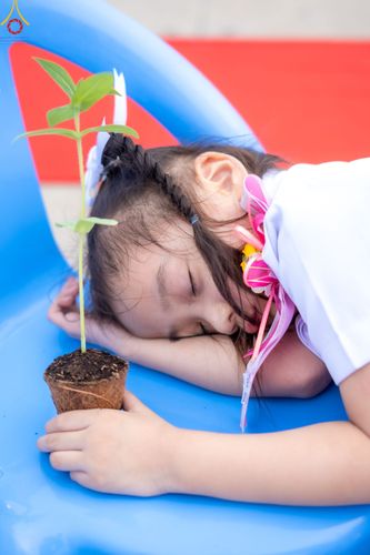 ภาพ No.90199:พิธีปลูกทรัพย์บานชื่น  เนื่องใน 139 ปี วันคล้ายวันเกิดด้วยรูปกายเนื้อ พระมงคลเทพมุนี (สด จนฺทสโร) พระผู้ปราบมาร วันอังคารที่ 10 ตุลาคม พ.ศ. 2566 ณ วัดพระธรรมกาย จ.ปทุมธานี