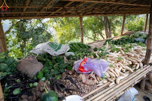 ภาพ No.127578:Photo Story ปฐมบรรพชาชาวพุทธมาร์มา Episode 2/5 วันที่ 6-7 กุมภาพันธ์ พ.ศ. 2567  โครงการบรรพชาครั้งประวัติศาสตร์ แห่งเทือกเขาจิตตะกอง  ครั้งแรกของชาวพุทธมาร์มา บังกลาเทศ บูชาธรรม 80 ปีหลวงพ่อธัมมชโย ณ วัดธัมจักร อรัญกุฏิ เมืองรัมการ์ คาร์กาชารี บังกลาเทศ