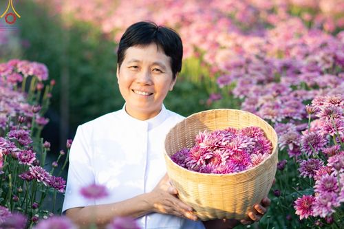 ภาพ No.102903:สาธุชนร่วมรับบุญเก็บดอกเบญจทรัพย์ ในวันที่ 19 ธันวาคม พ.ศ. 2566 (วันแรก) ณ บริเวณวัดพระธรรมกาย จ.ปทุมธานี