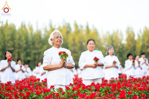 ภาพ No.185448:กิจกรรมเก็บดอกแพงรวย วันอาทิตย์ที่ 22 ธันวาคม พ.ศ. 2567 ณ ทุ่งสวรรค์ ตะวันฉาย วัดพระธรรมกาย