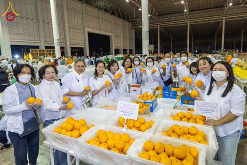 ภาพ No.203655:พิธีถวายภัตตาหารเป็นสังฆทาน แด่พระธรรมยาตรา ณ วัดพระธรรมกาย ตำบลคลองสาม อำเภอคลองหลวง จังหวัดปทุมธานี ในโครงการธรรมยาตรา กตัญญูบูชา มหาปูชนียาจารย์ พระมงคลเทพมุนี(สด จนฺทสโร) พระผู้ปราบมาร อนุสรณ์สถาน 7 แห่ง ปีที่ 13 วันที่ 30 มกราคม พ.ศ. 2568