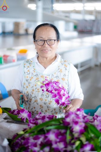 ภาพ No.158510:V.46 อาสาสมัครและเจ้าหน้าที่ทุกสถานะ ร่วมแรงร่วมใจรับบุญเตรียมงาน เก็บงาน งานบุญในเดือนกันยายน พ.ศ. 2567 ณ วัดพระธรรมกาย