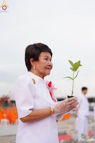 ภาพ No.160404:พิธีปลูกต้นทรัพย์บานชื่น ณ ลานธรรม พระมหาธรรมกายเจดีย์ วัดพระธรรมกาย จ.ปทุมธานี วันพฤหัสบดีที่ 10 ตุลาคม พ.ศ. 2567