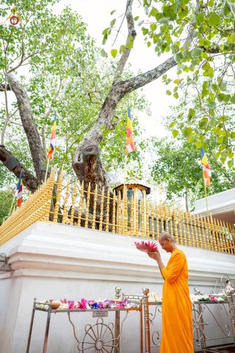 ภาพ No.264460:วันที่ 23 ตุลาคม พ.ศ. 2568 พิธีทอดกฐินสมทบ วัดกัลยาณมิตรต่างประเทศ  บูชาธรรม 81 ปี หลวงพ่อธัมมชโย  ณ วัดศรีอโรคา รามายา , วัดศรีธรรมราชา , วัดเปรดีปะกันเด วิหารายา ในเมืองมาตะเล ประเทศศรีลังกา 